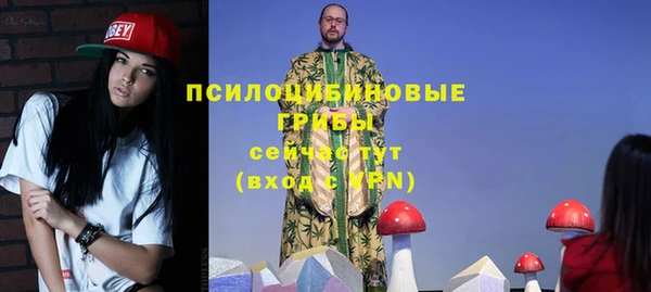шишки Верхнеуральск