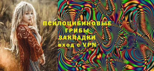 шишки Верхнеуральск