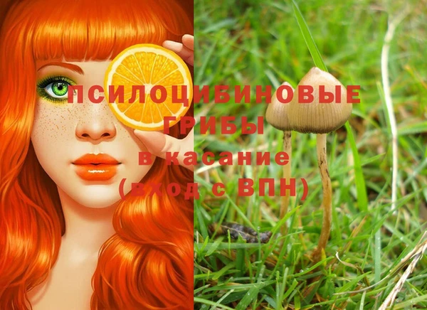 шишки Верхнеуральск